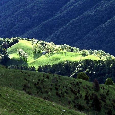 Alano Di Piave B&B Casa Francesca المظهر الخارجي الصورة