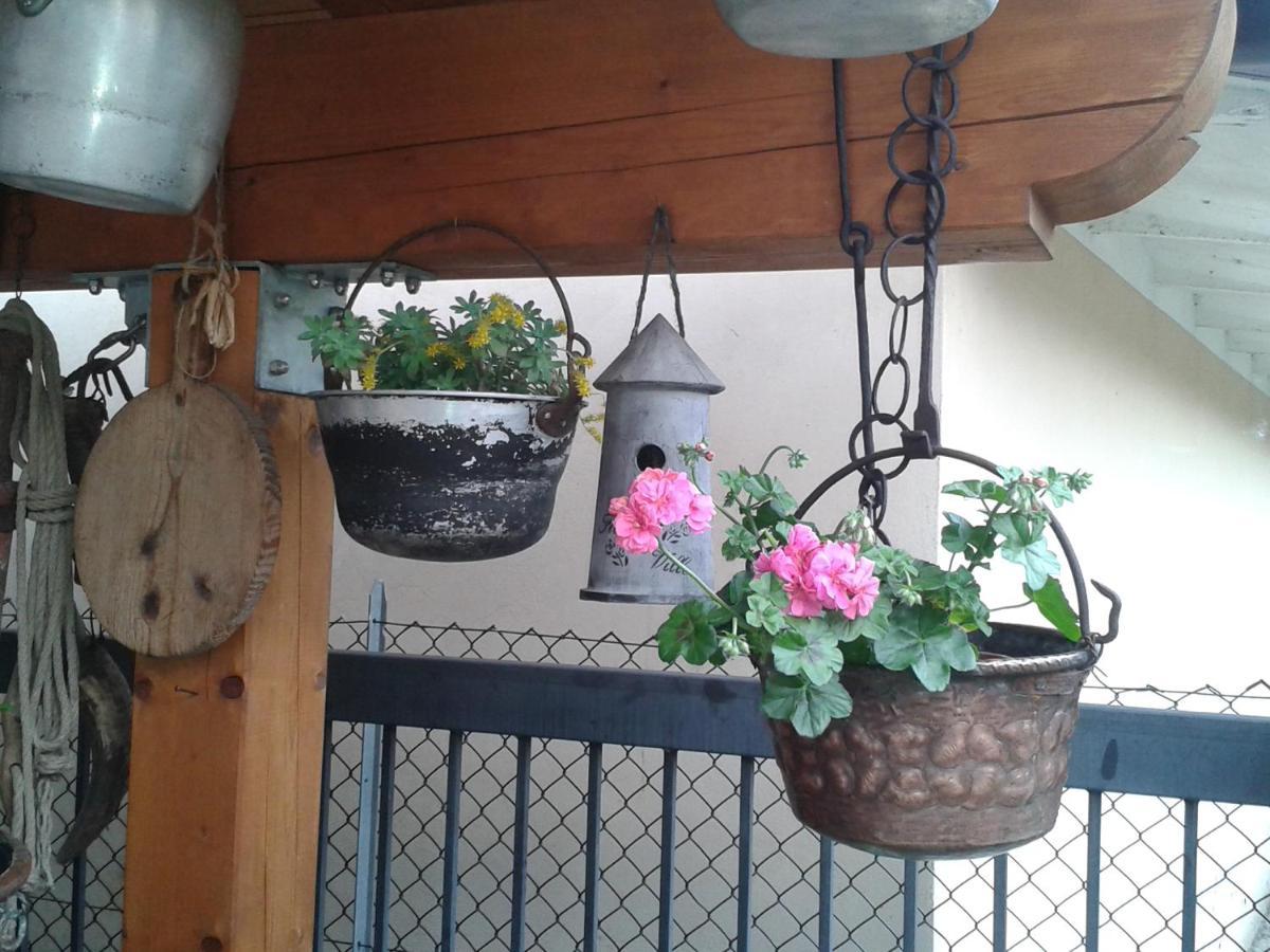 Alano Di Piave B&B Casa Francesca المظهر الخارجي الصورة
