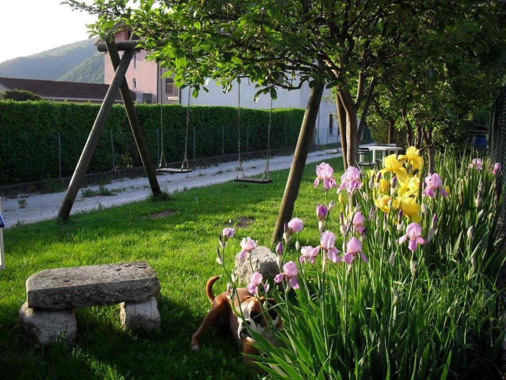 Alano Di Piave B&B Casa Francesca المظهر الخارجي الصورة