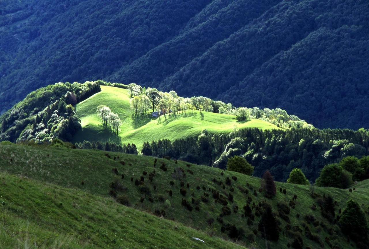 Alano Di Piave B&B Casa Francesca المظهر الخارجي الصورة